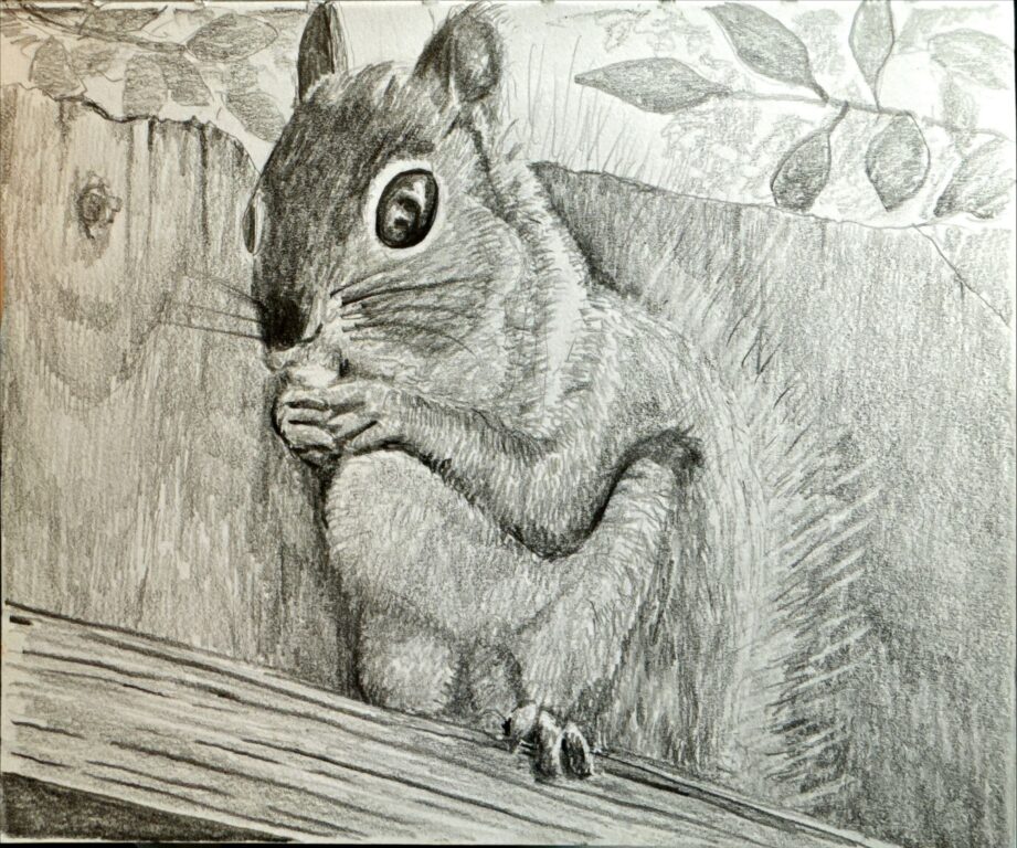 Squirrel